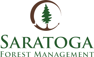 logo.saratoga